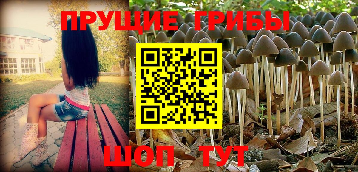 Псилоцибиновые грибы мухоморы  Псилоцибиновые грибы Magic Shrooms  Вход с VPN  Фурманов 